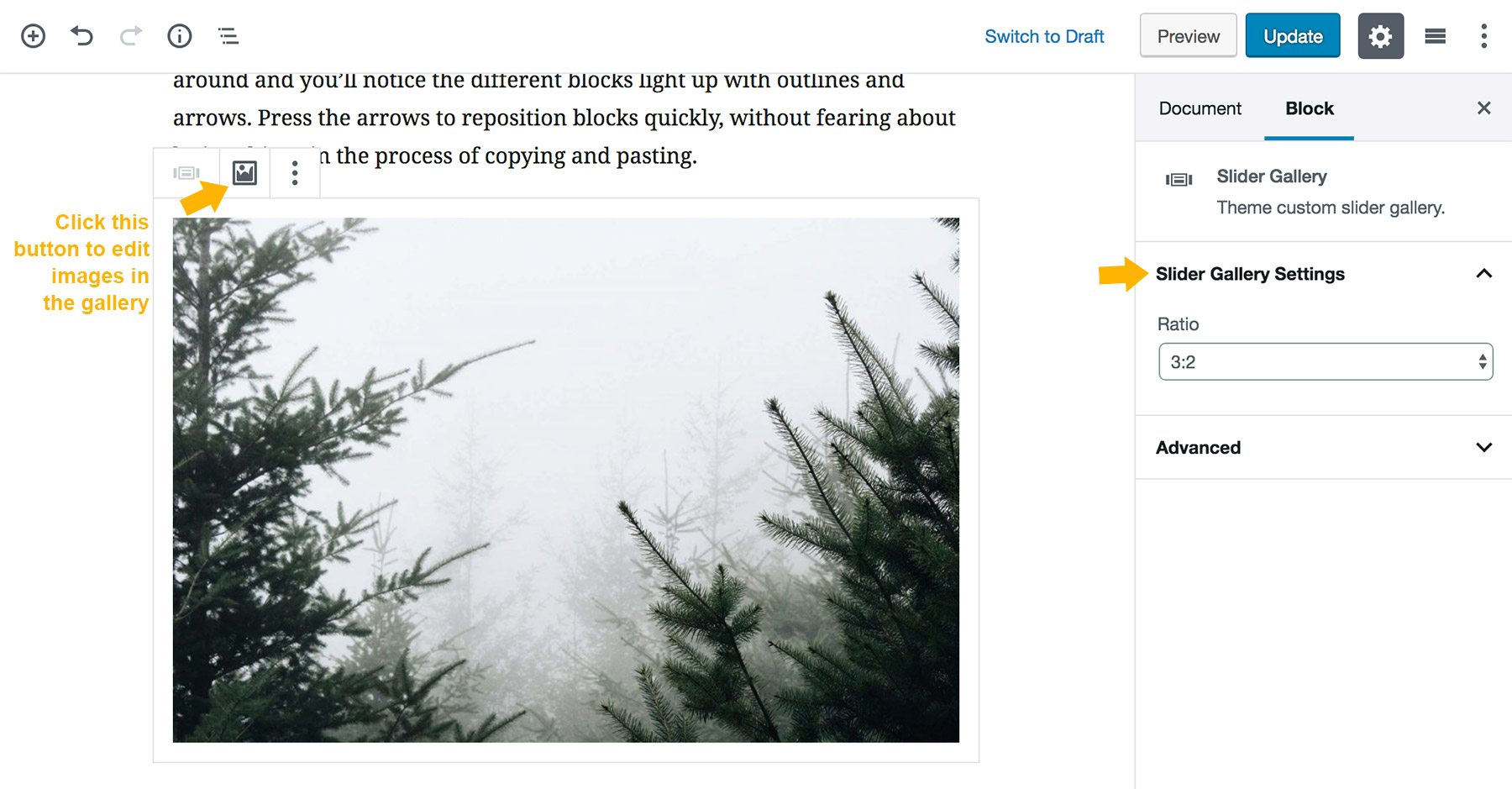 Slider Gallery Block preivew in Gutenberg Editor