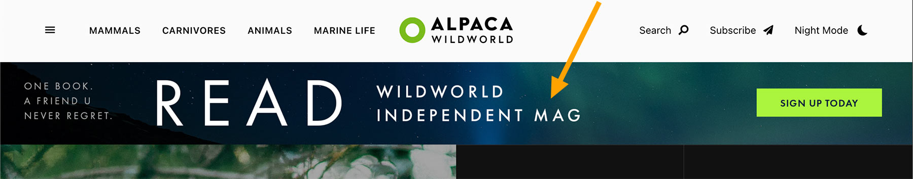 Home Widget - Ad Banner