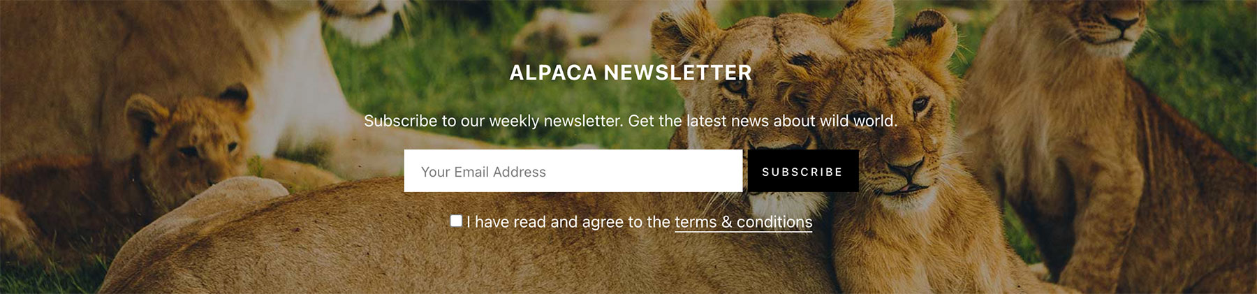 Home Widget - Signup Form