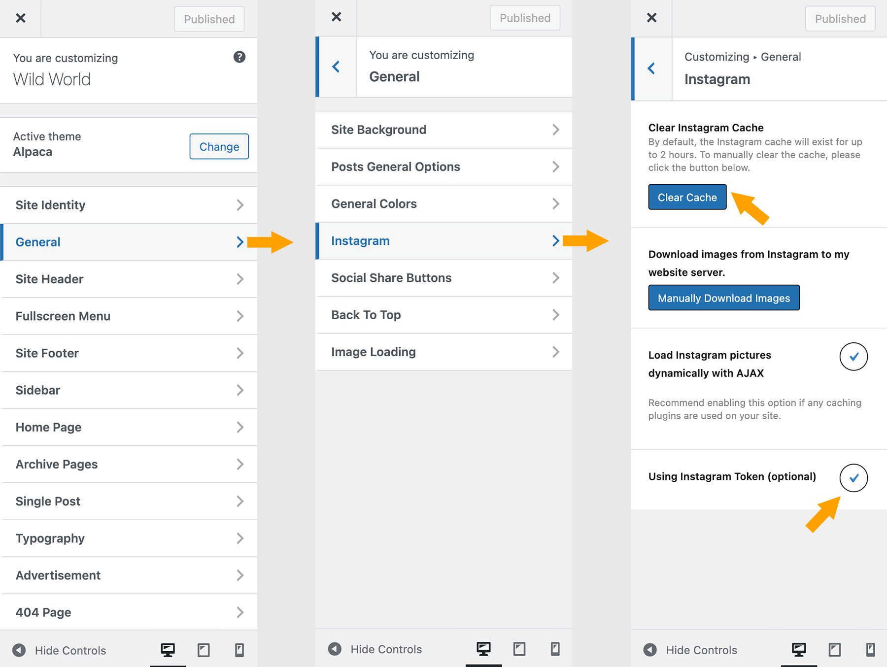 Enable Using Instagram Token option