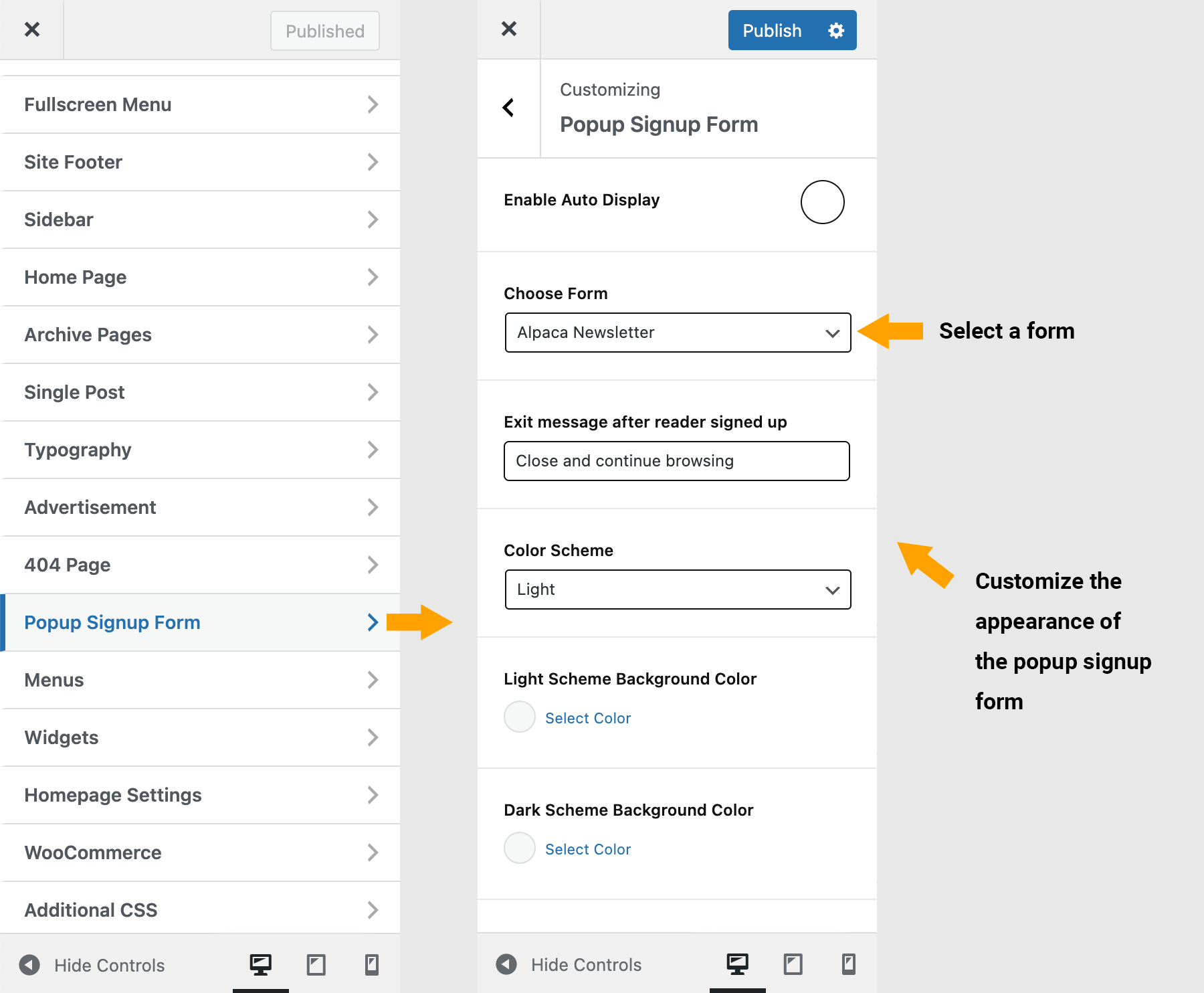 Popup Newsletter Signup Form