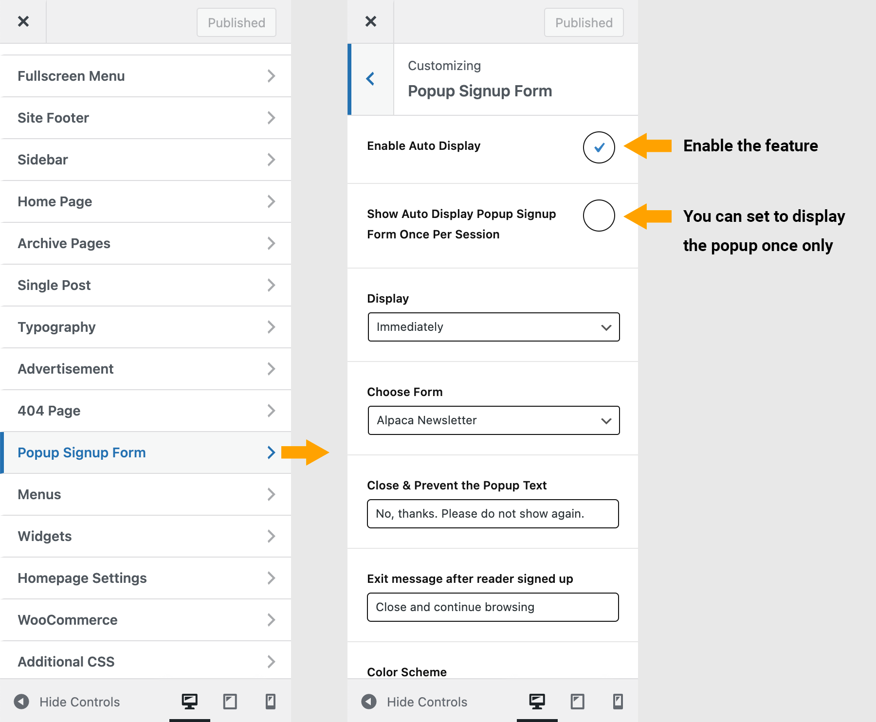Popup Newsletter Signup Form