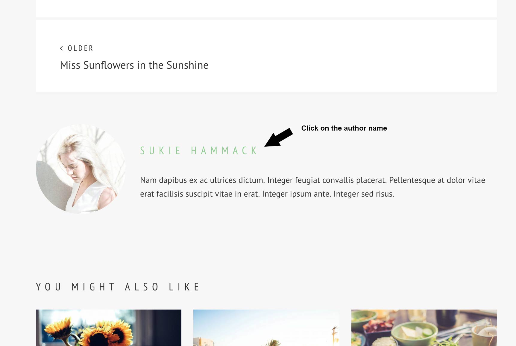 click on author name