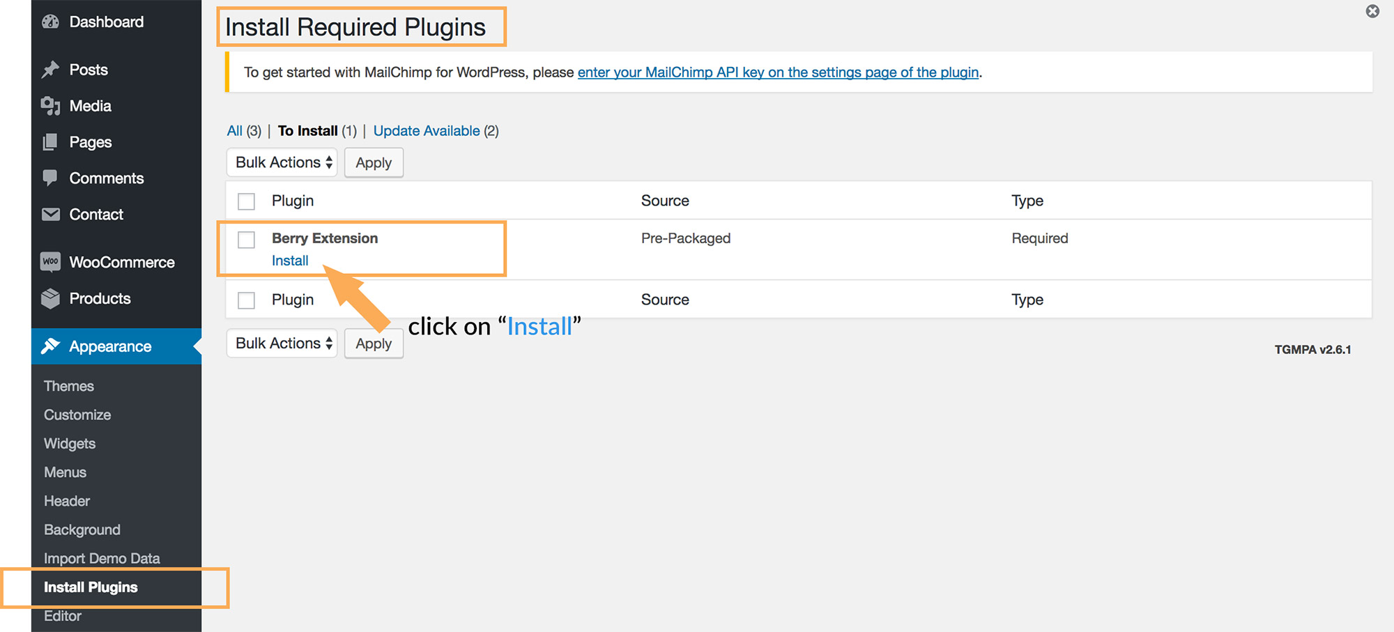 Install berry extension