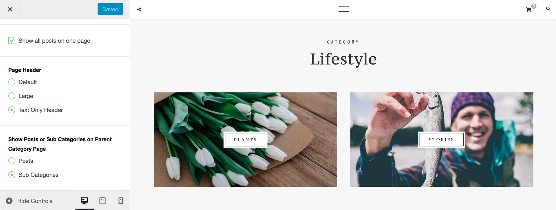 Show subcategories on parent category page