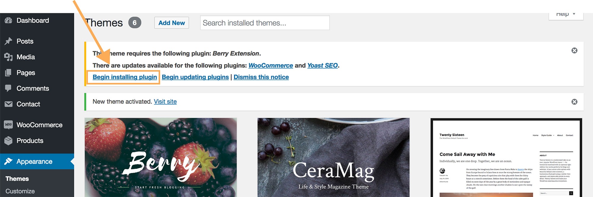 To install berry extension