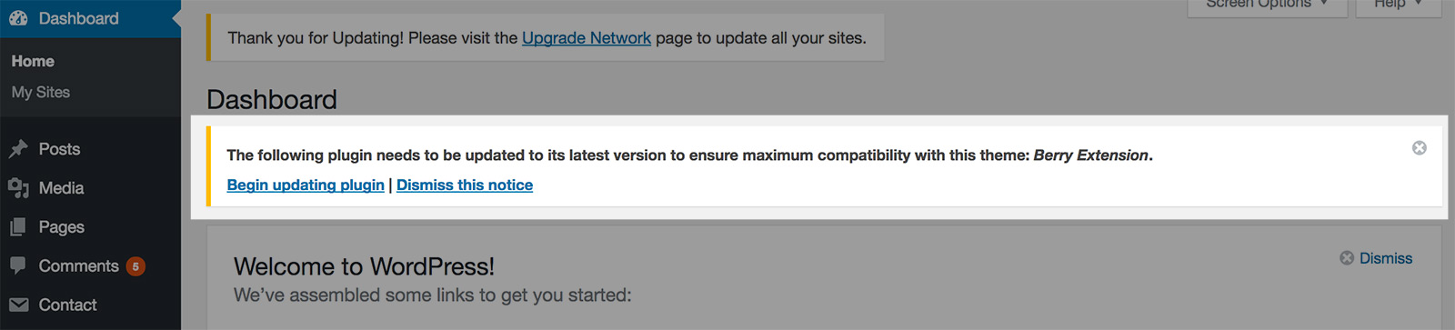 Update: Berry Extension Plugin