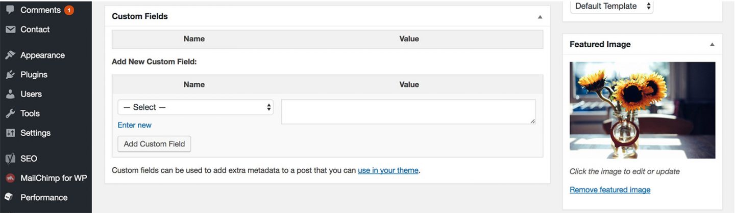 add-new-custom-field