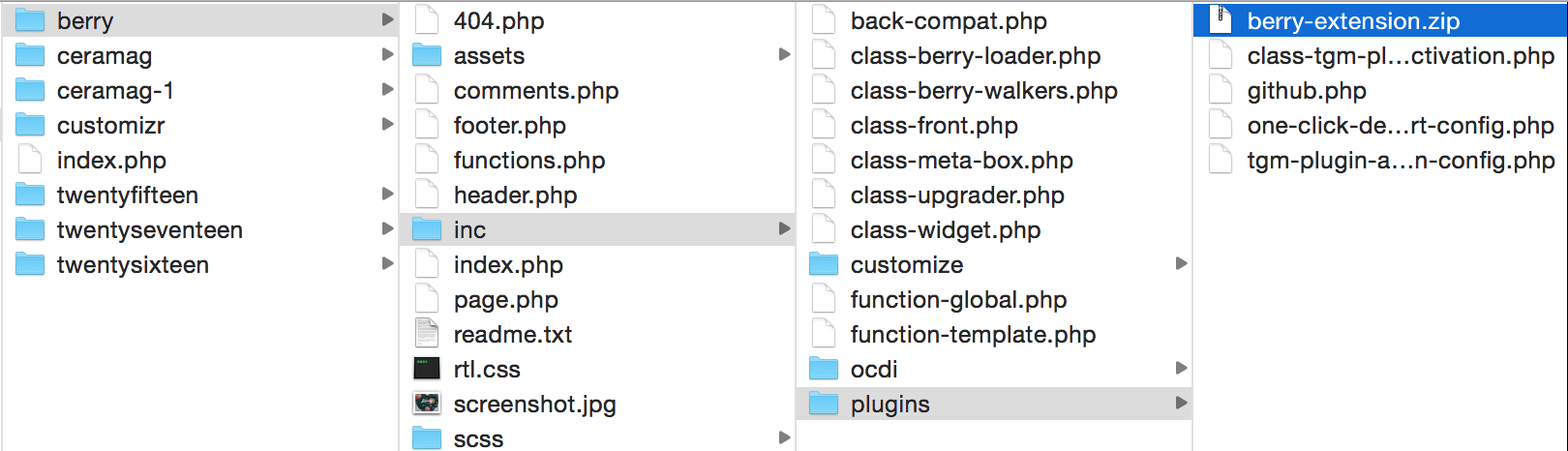 berry-extension-in-folder