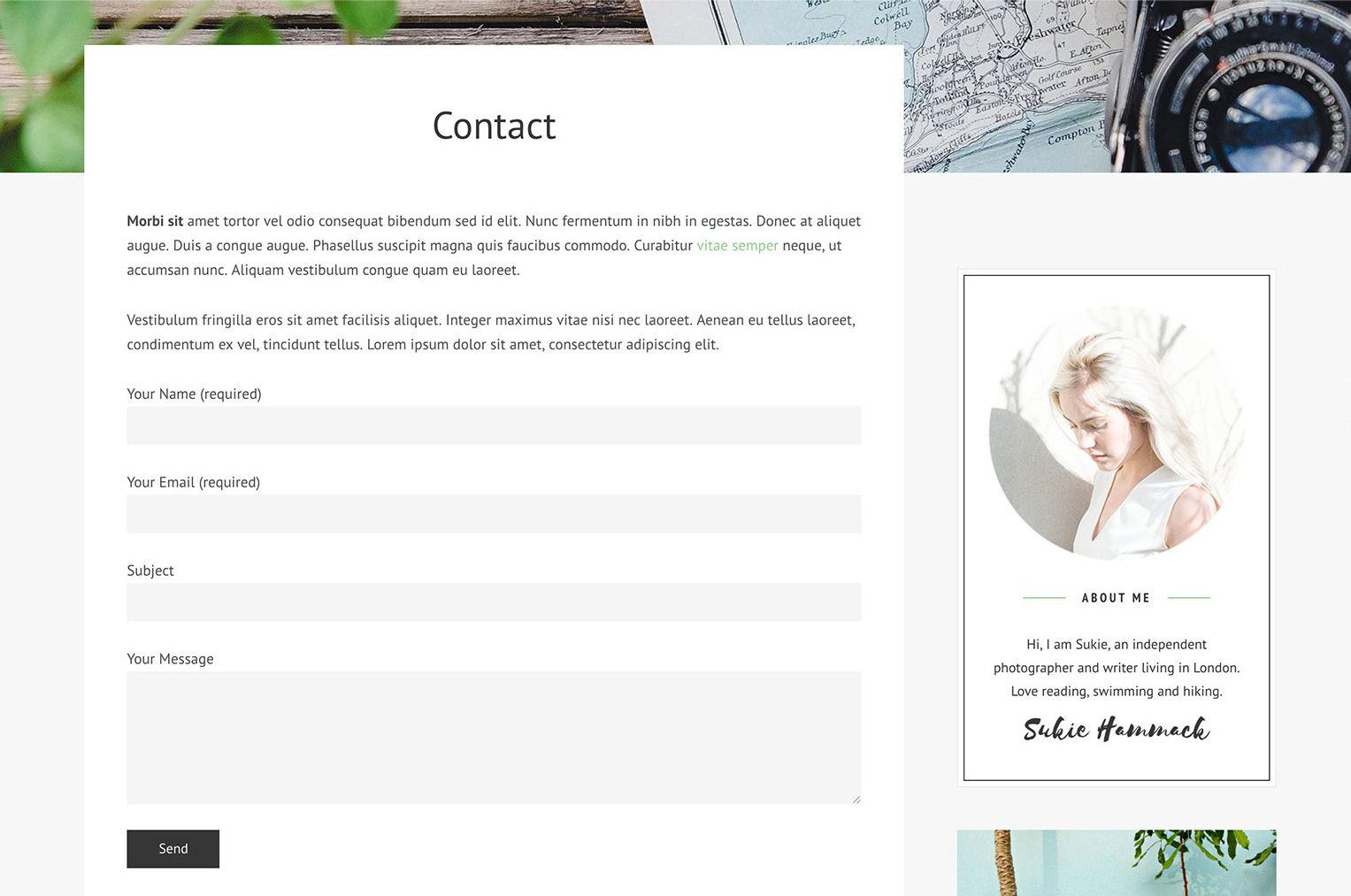 contact-form-preview