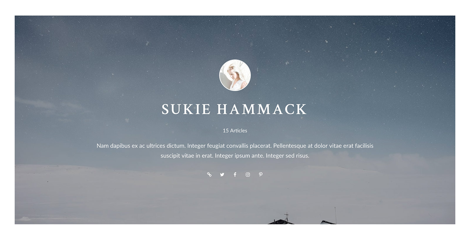 Author Info Box after single post content