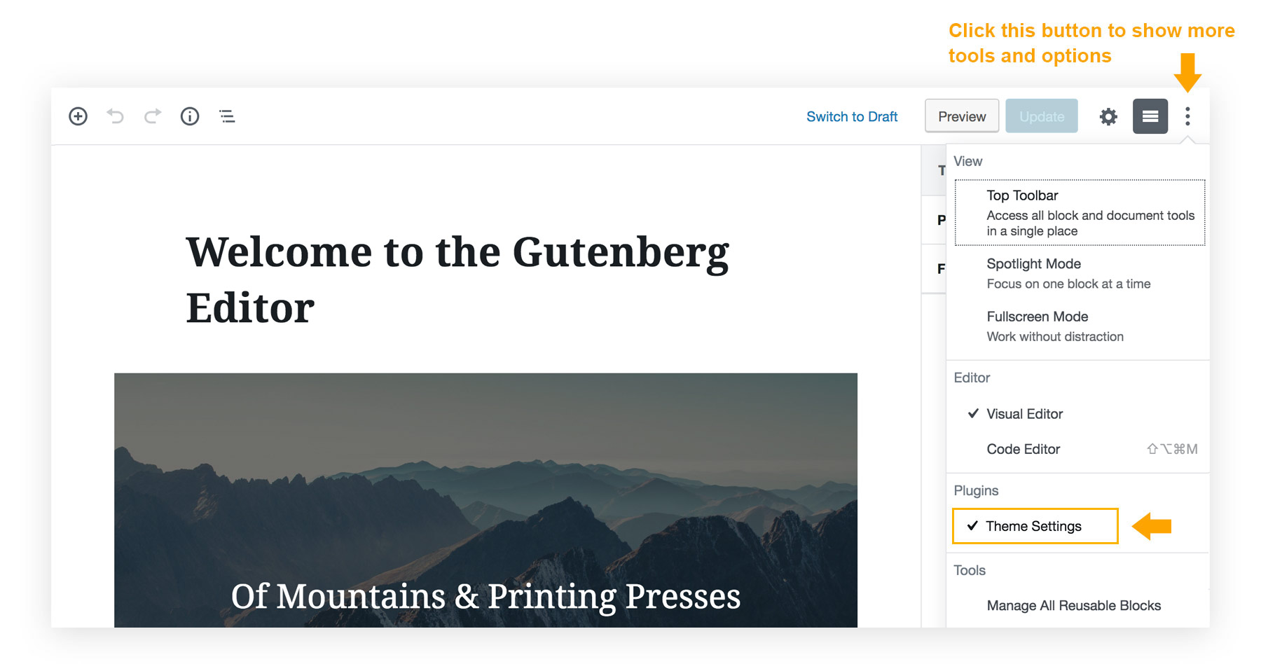 Theme Settings toggle button - Pin to Toolbar