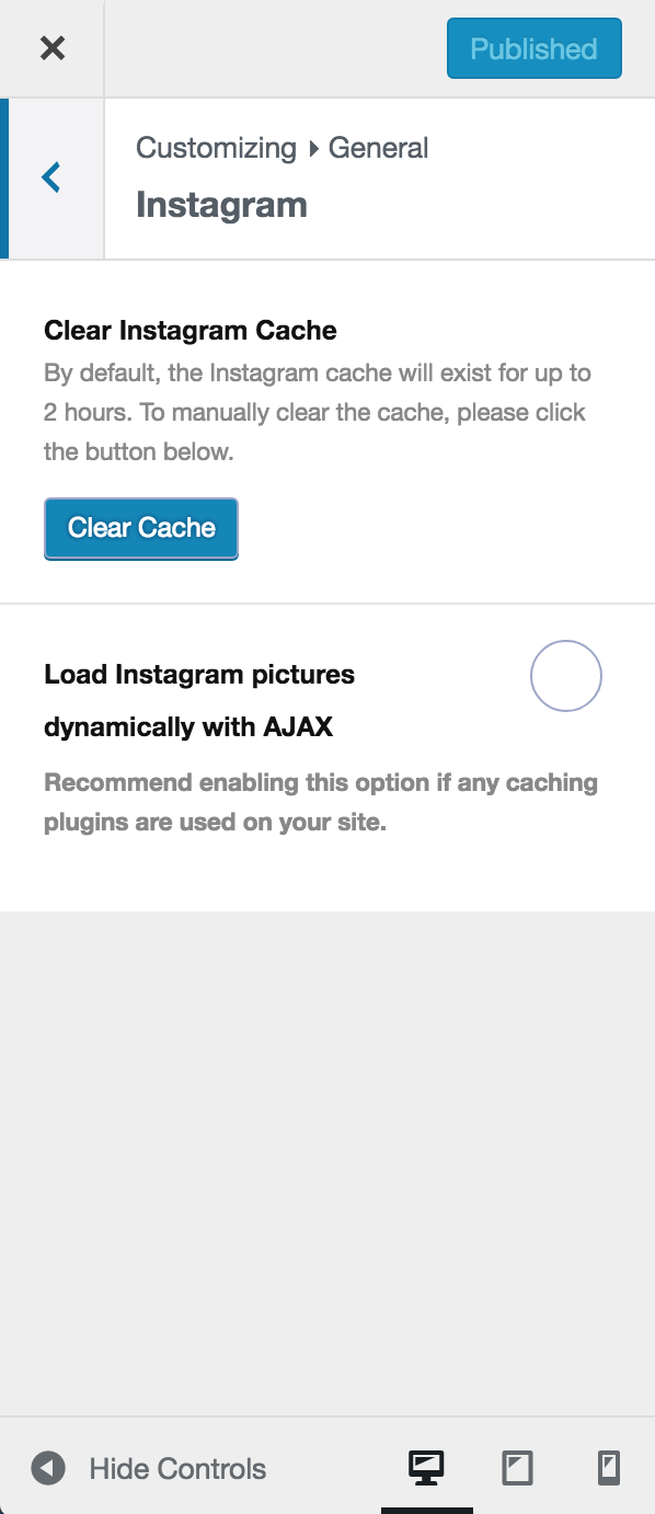 Customizer - General - Instagram