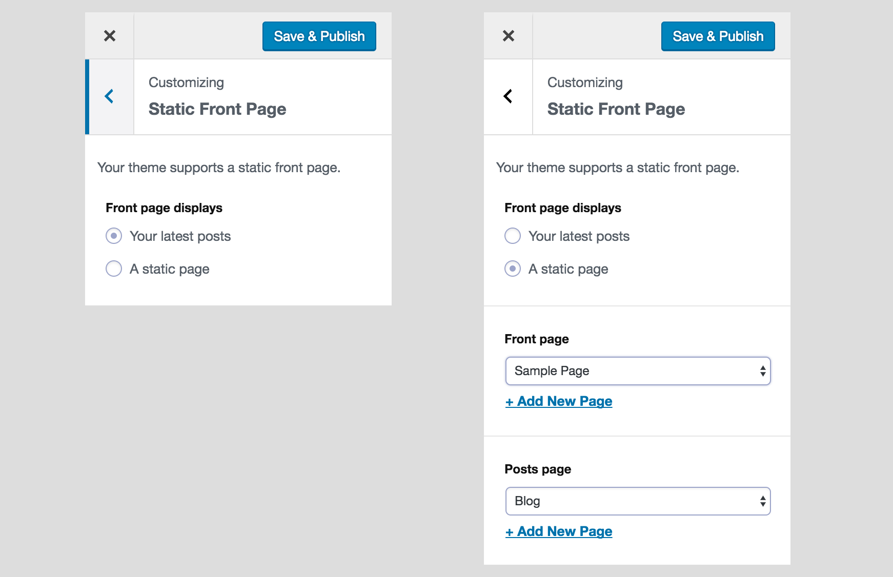 Homepage & Blog Page