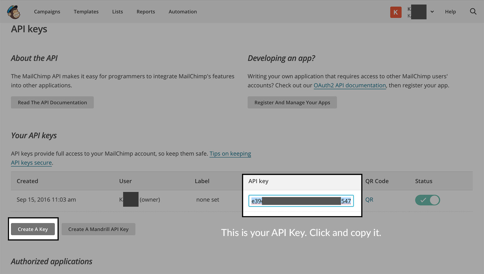 Get MailChimp API Key