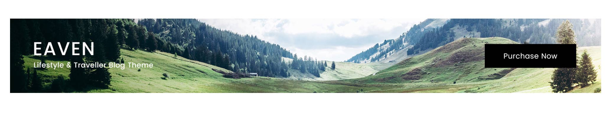 Home Widget - Ad Banner