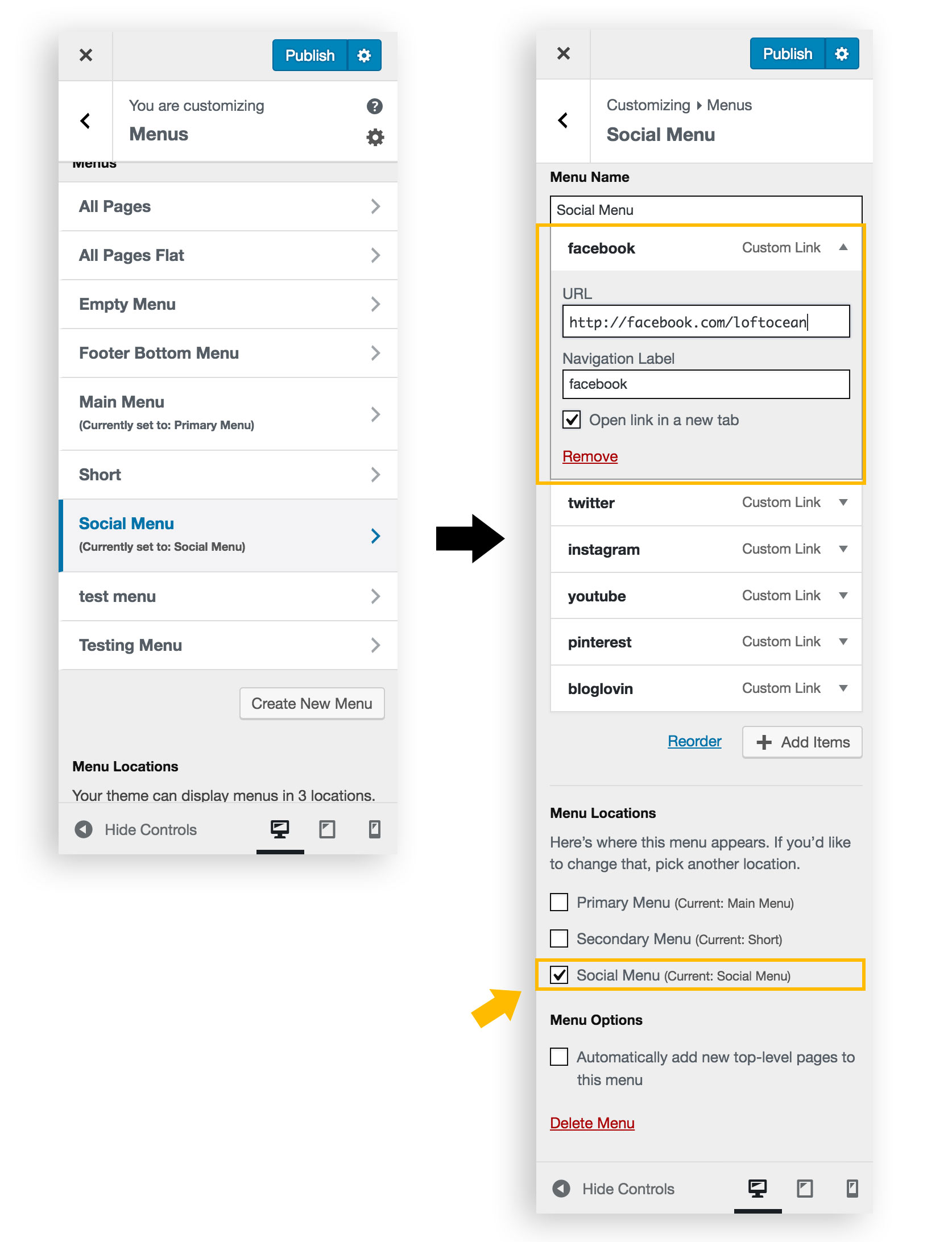 Manage Social Menu in customizer