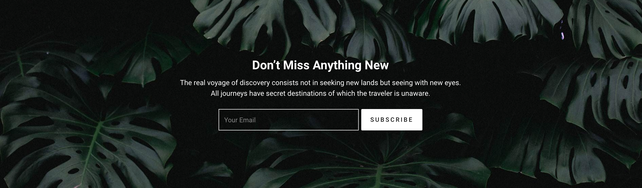 MailChimp Sign-Up Form on Homepage