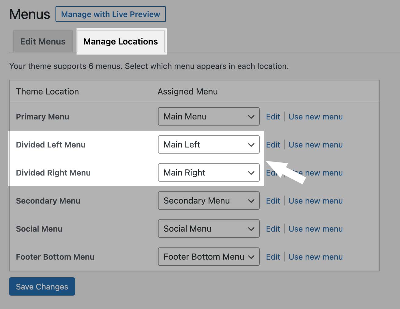 Create 2 menus and choose menu locations