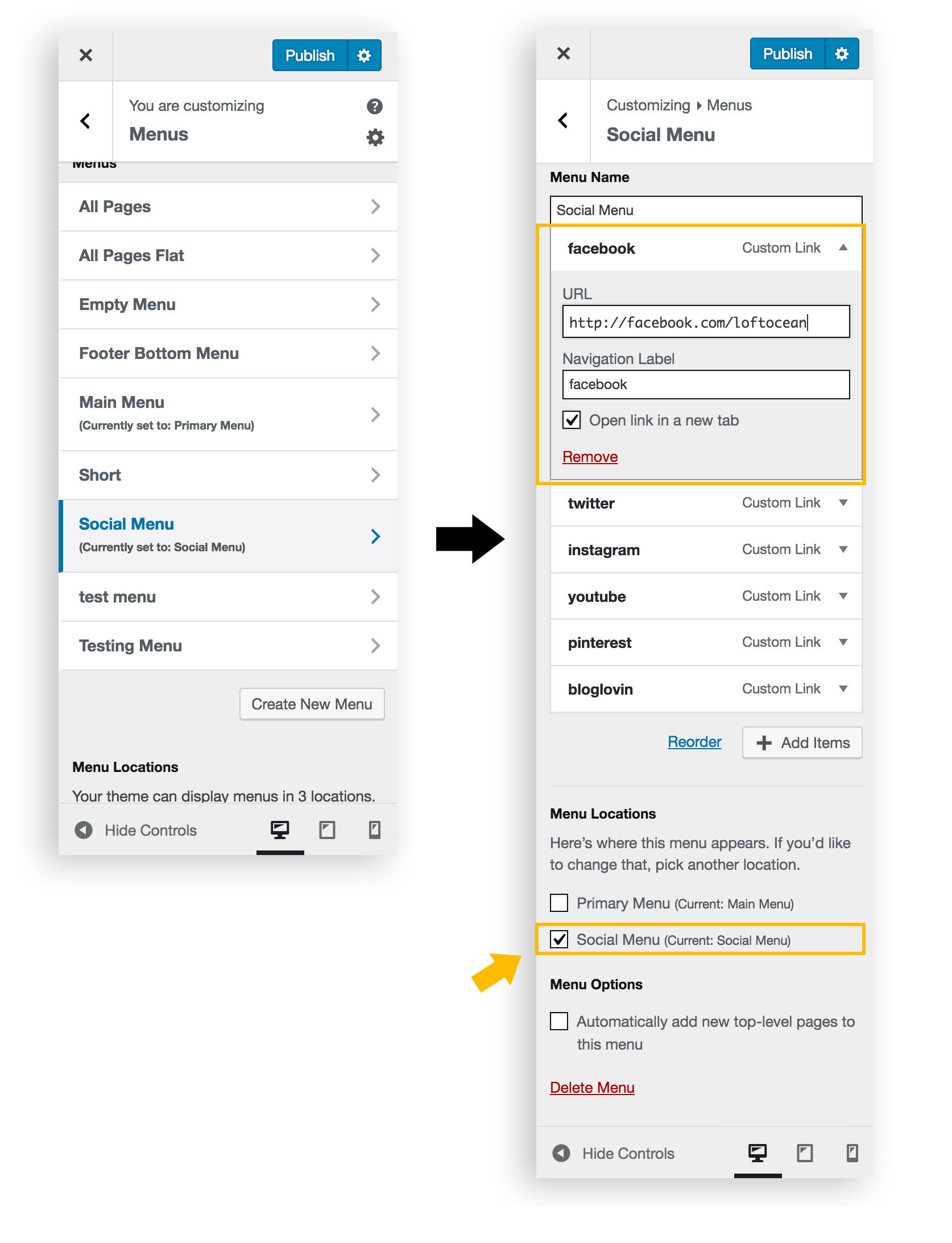Manage Social Menu in customizer