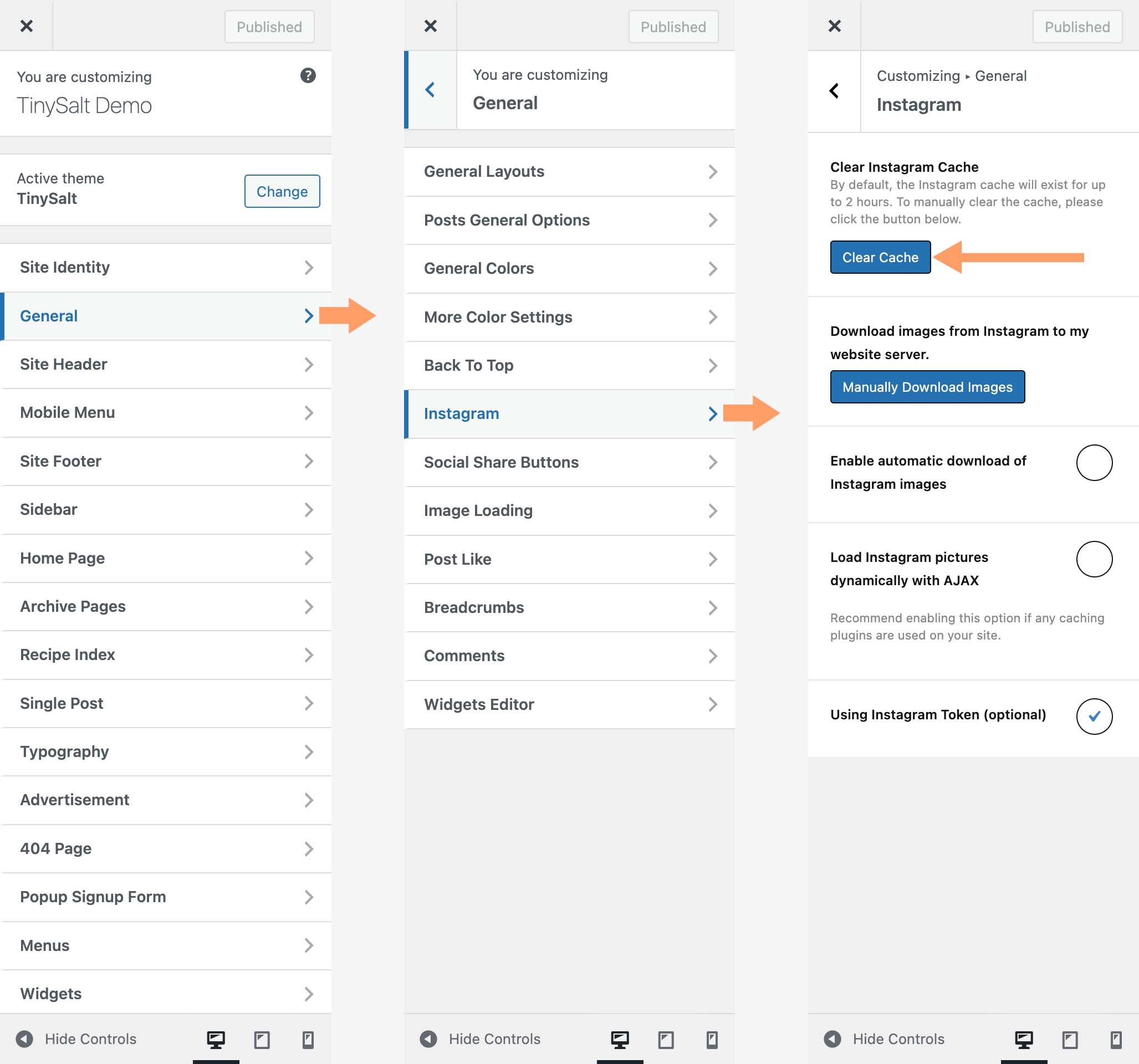 Customizer - Instagram Settings - Clear Cache