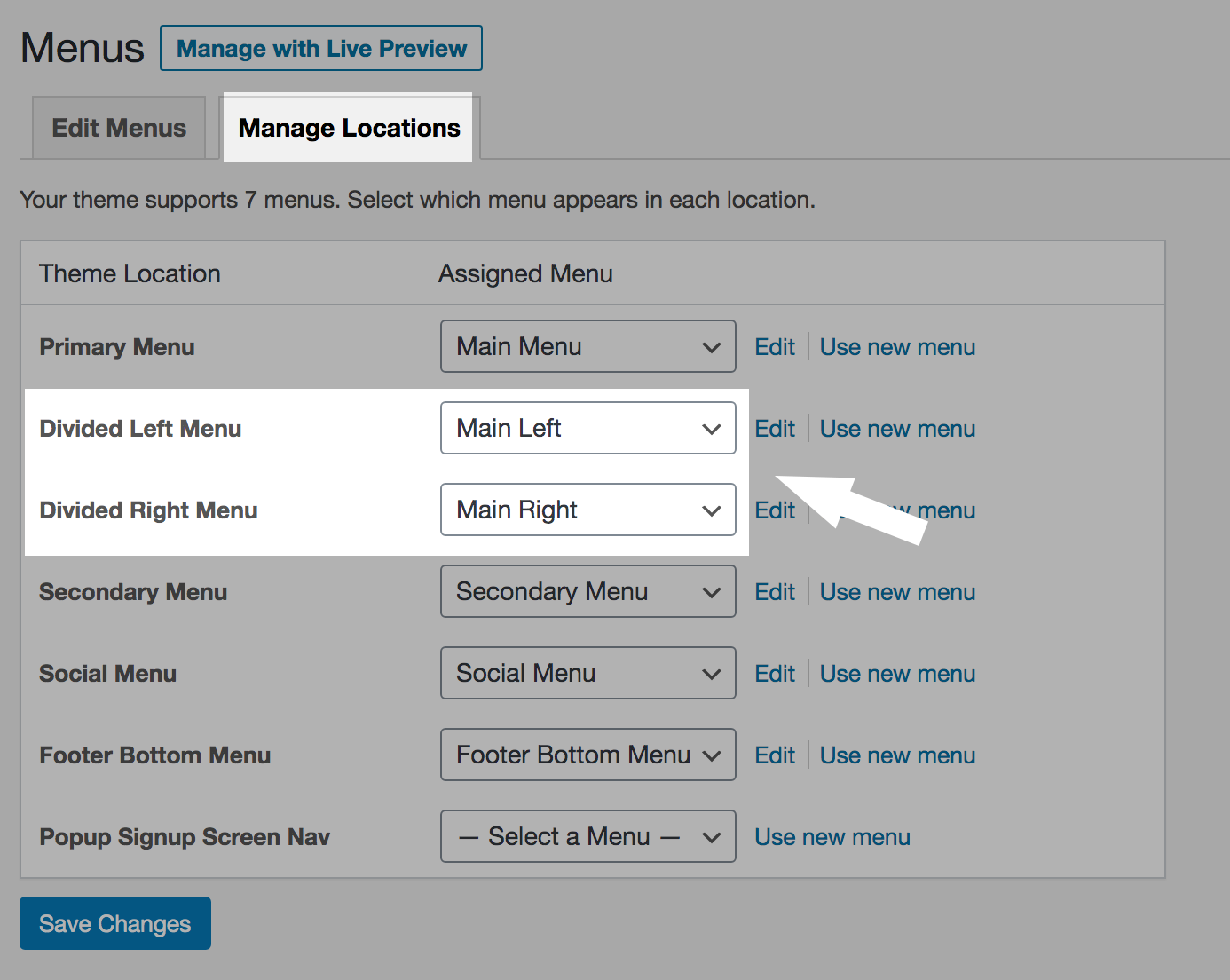 Create 2 menus and choose menu locations
