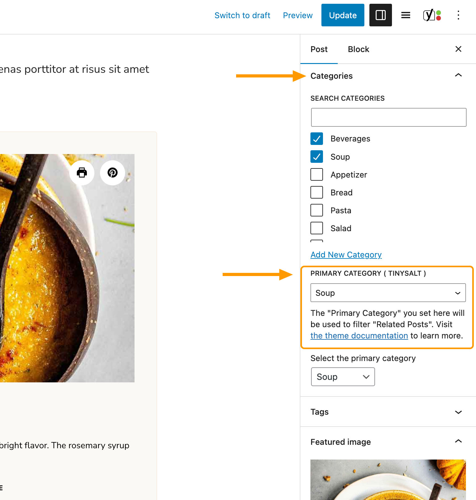 Select a Primary Category for a single post